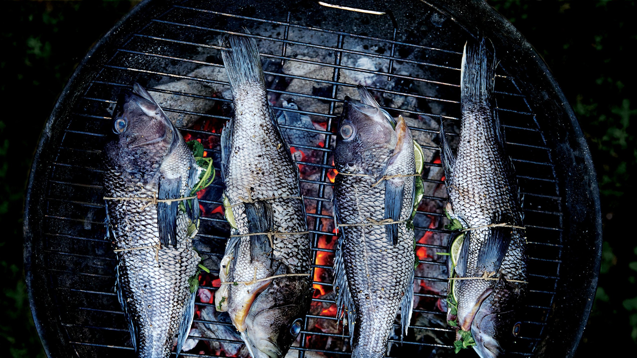  Lime-and-Cilantro-Stuffed Black Bass