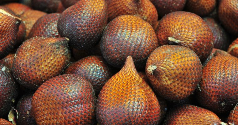 Exotic Food Finds: Snake Fruit (Salak)